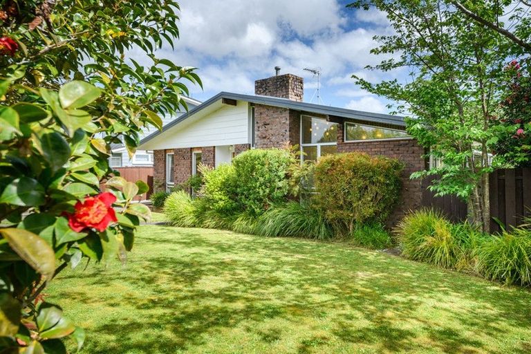 Photo of property in 115 Winchester Street, Ashhurst, 4810