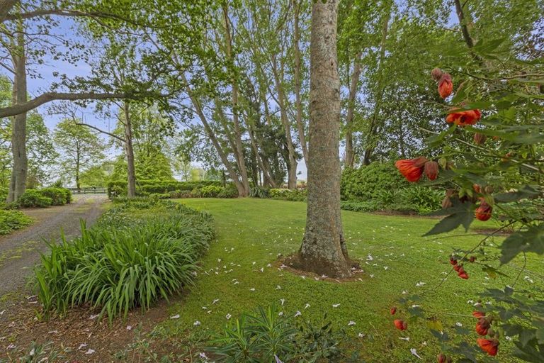 Photo of property in 253 Kaipaki Road, Ohaupo, 3881