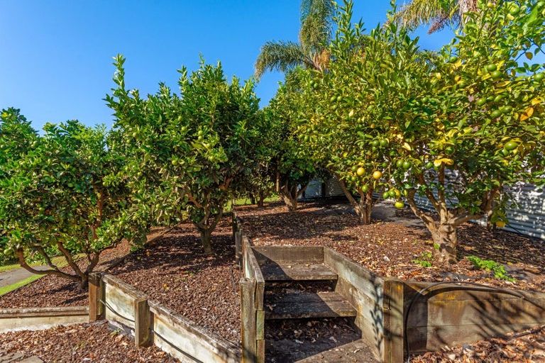 Photo of property in 39 Ayton Street, Mangapapa, Gisborne, 4010