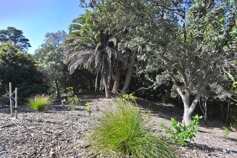 Photo of property in 57 Hauraki Road, Leigh, Warkworth, 0985