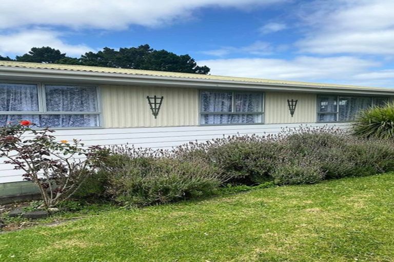 Photo of property in 47 Hartley Terrace, Massey, Auckland, 0614