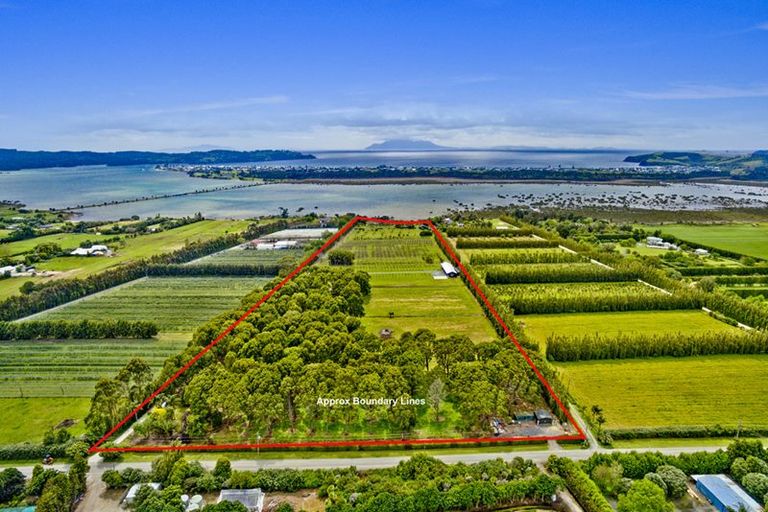 Photo of property in 107 Jones Road, Evansdale, Waikouaiti, 9471