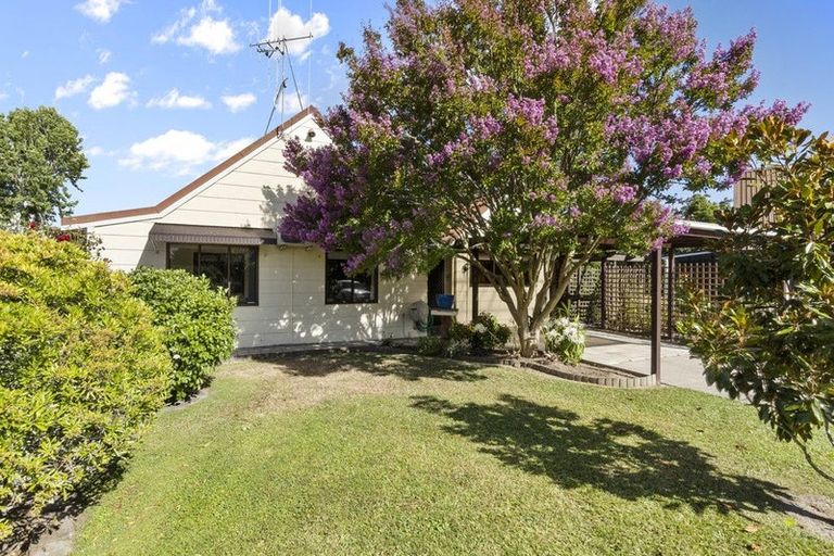 Photo of property in 21 Kingfisher Way, Te Kowhai, Hamilton, 3288