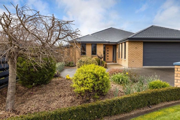 Photo of property in 13 Tremorne Avenue, Blenheim, 7201