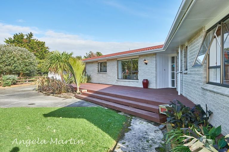 Photo of property in 39 Tokomaru Road, Tokomaru, Palmerston North, 4474