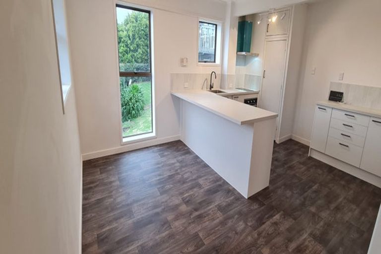 Photo of property in 44 Exmouth Road, Northcote, Auckland, 0627