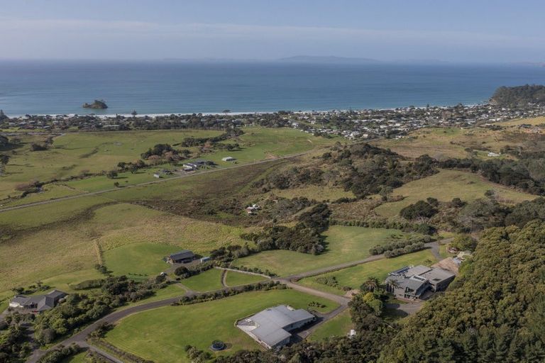 Photo of property in Te Punga, 151f Te Punga Road, Whangapoua, Coromandel, 3582