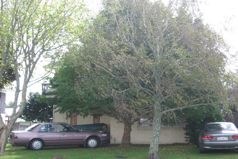 Photo of property in 8 Frank Evans Place, Henderson, Auckland, 0610