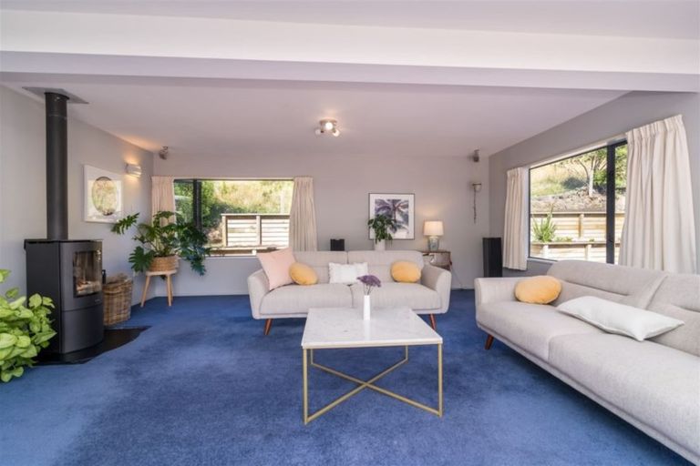 Photo of property in 9 Ribbonwood Close, Normanby, Dunedin, 9010