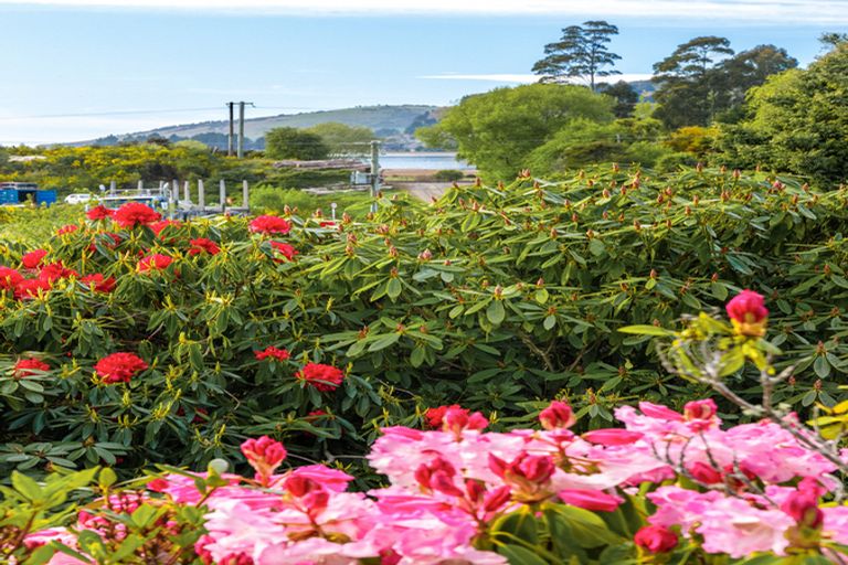 Photo of property in 287 Waikouaiti-waitati Road, Evansdale, Waikouaiti, 9471