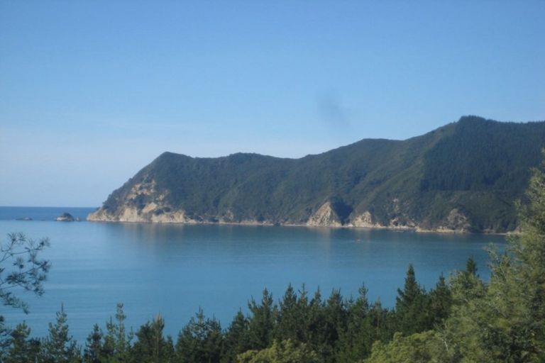 Photo of property in 502 Waipiro Road, Waipiro, Tokomaru Bay, 4079