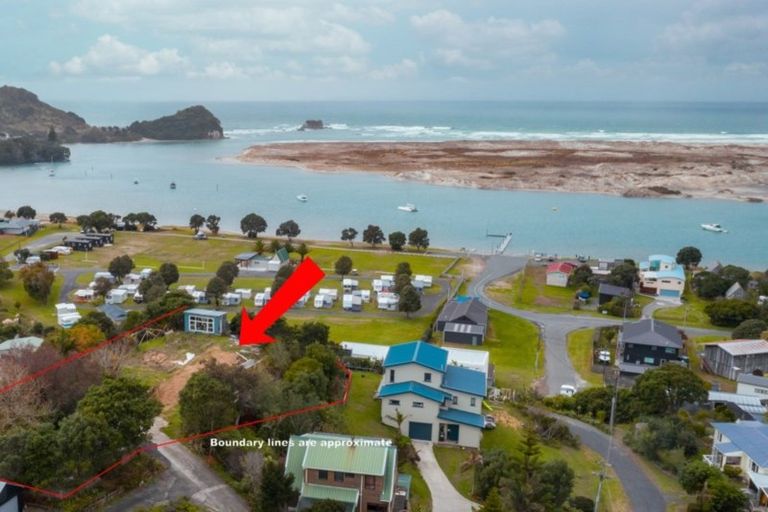 Photo of property in 45 Olsen Avenue, Mangawhai Heads, Mangawhai, 0505