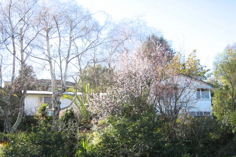 Photo of property in 41 Joll Road, Havelock North, 4130