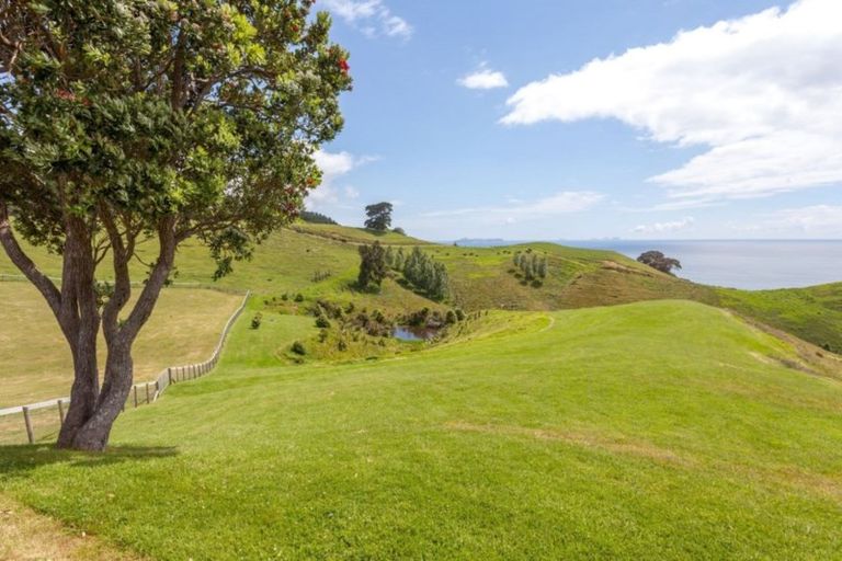 Photo of property in 162d Whitipirorua Road, Onemana, Whangamata, 3691