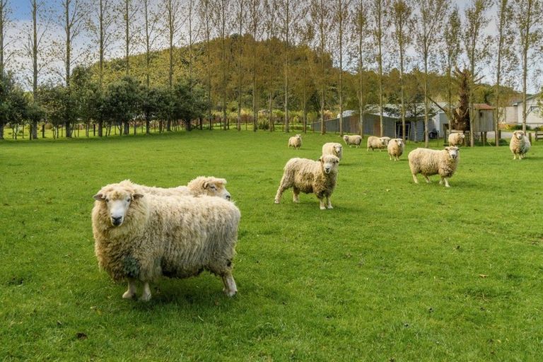 Photo of property in 125 Leyland Road, Whakamarama, Tauranga, 3179