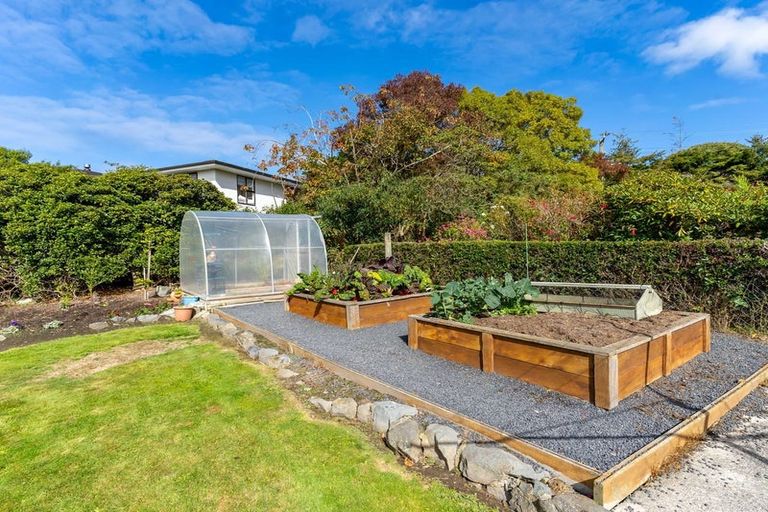 Photo of property in 71 Aberdeen Road, Saint Clair, Dunedin, 9012