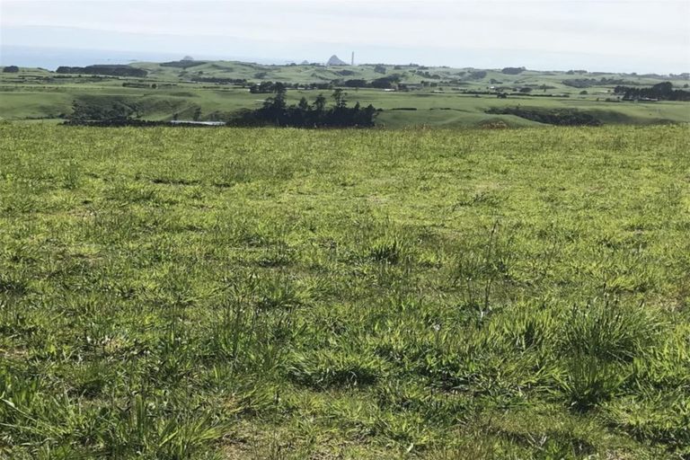 Photo of property in 167 Wairau Road, Kaitake, New Plymouth, 4374