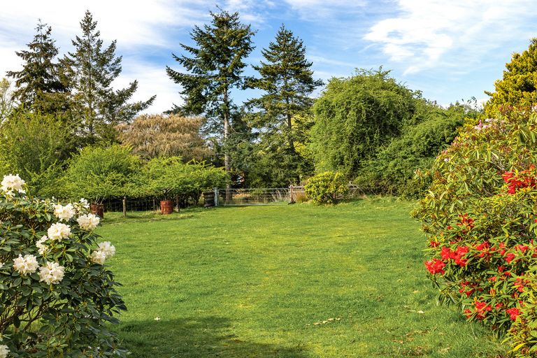 Photo of property in 287 Waikouaiti-waitati Road, Evansdale, Waikouaiti, 9471