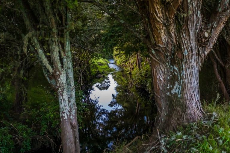 Photo of property in 78 River Drive, Kerikeri, 0294