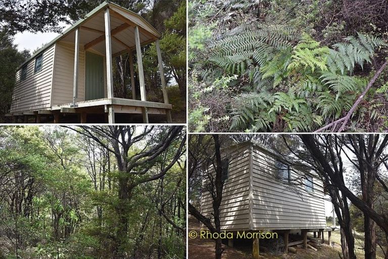 Photo of property in 17 Te Wairoa Lane, Tinopai, Matakohe, 0593