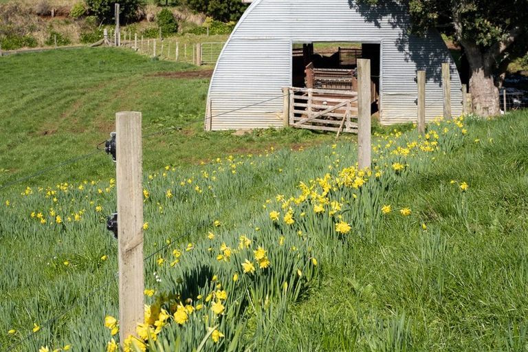 Photo of property in 697 Maungatawhiri Road, Raglan, 3295