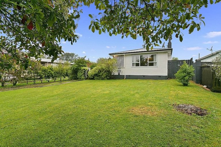 Photo of property in 113 Buckland Street, Putaruru, 3411