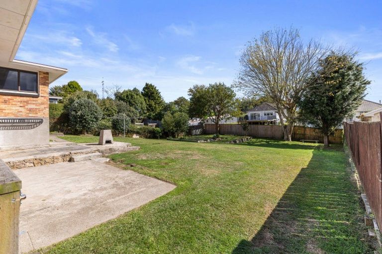 Photo of property in 16 Clothier Street, Putaruru, 3411