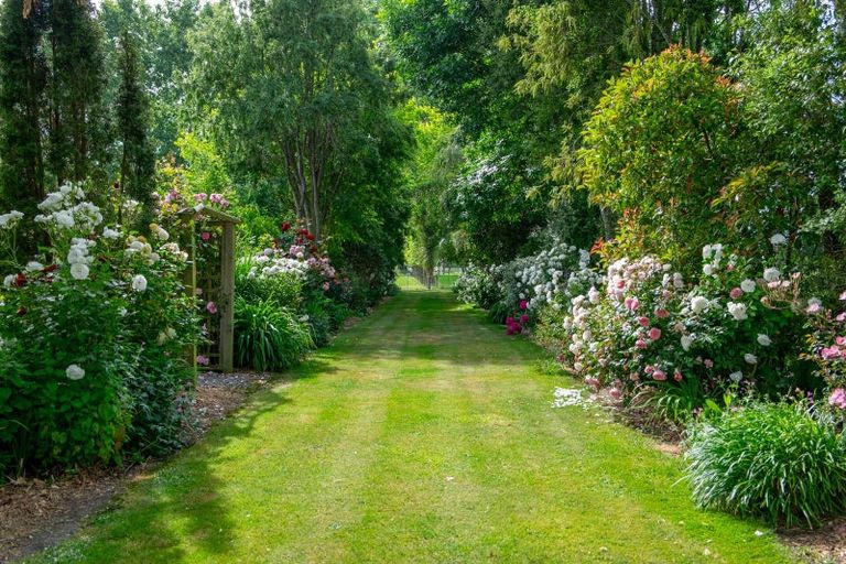 Photo of property in 133 Springfield Road, Temuka, 7986