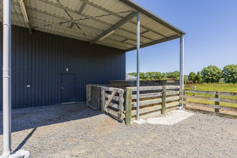 Photo of property in 273 Lindsay Road, Waipukurau, 4283