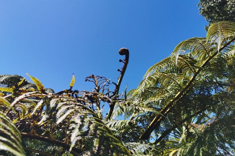 Photo of property in 9 Russell Parade North, Frasertown, Wairoa, 4193