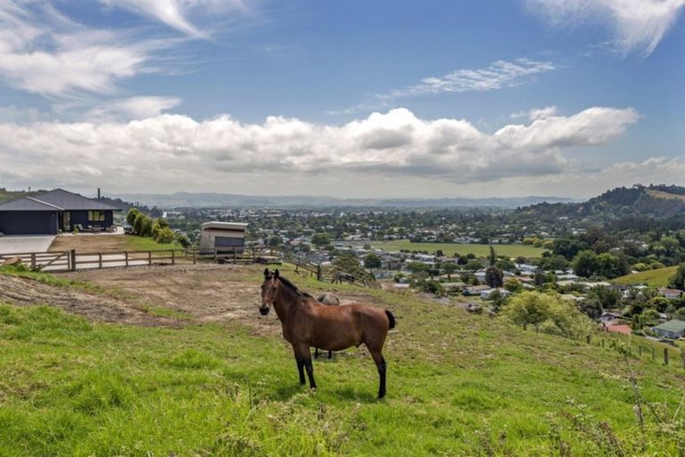 Photo of property in 153 Wheatstone Road, Wainui, Gisborne, 4073