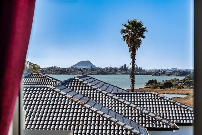 Photo of property in 44 Diamond Head, Hairini, Tauranga, 3112