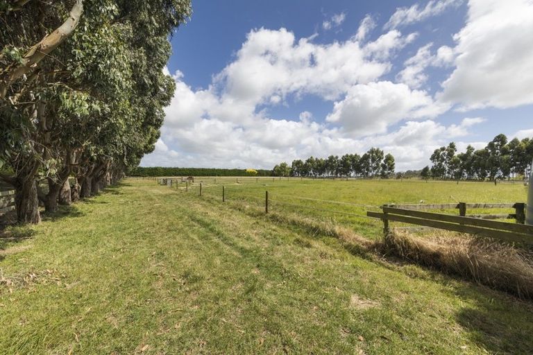 Photo of property in 237 Ngaio Road, Halcombe, Palmerston North, 4479
