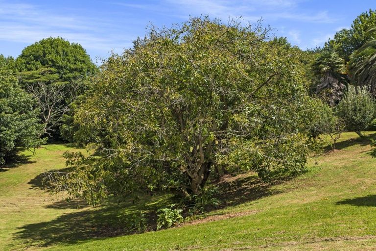 Photo of property in 33 Silkwood Way, Tauriko, Tauranga, 3110