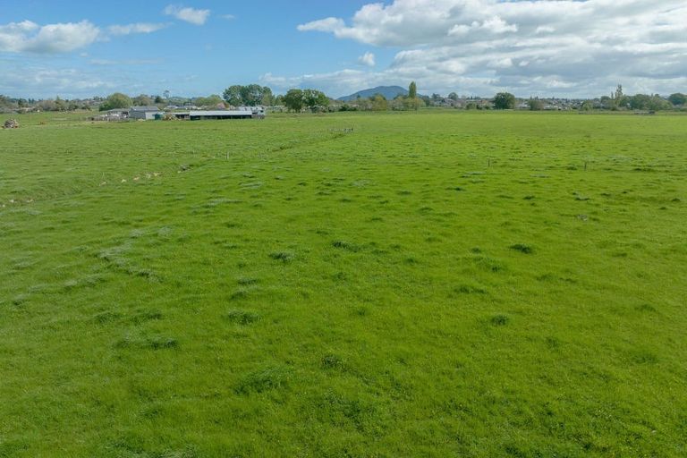 Photo of property in 650 Cambridge Road, Te Awamutu, 3800