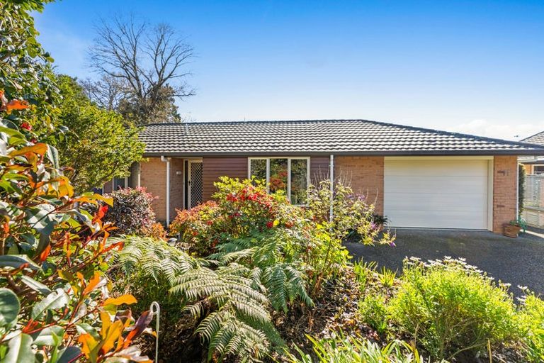 Photo of property in 11/17 Simmonds Grove, Greerton, Tauranga, 3112