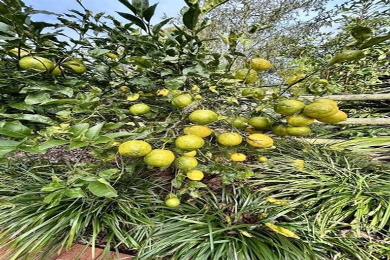 Photo of property in 115 Great South Road, Ohaupo, 3803