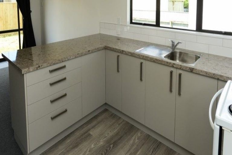 Photo of property in 406a Burnett Street, Mahora, Hastings, 4120