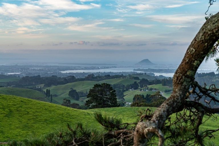 Photo of property in 668 Kaitemako Road, Welcome Bay, Tauranga, 3175