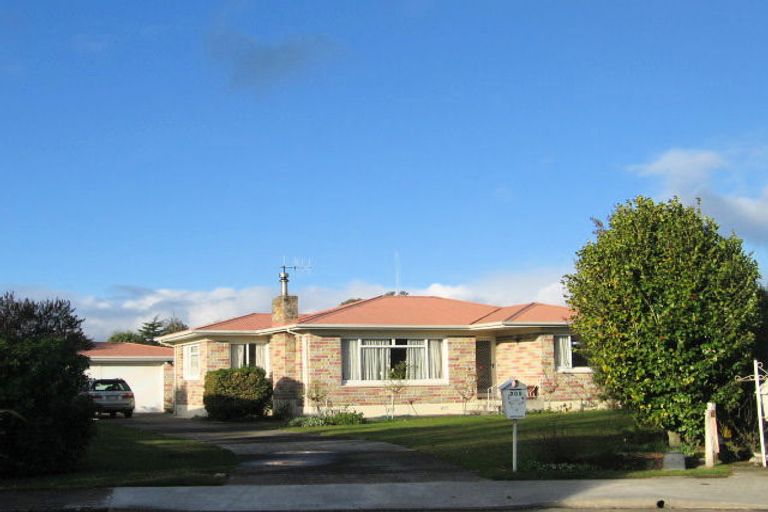 Photo of property in 305 Ikanui Place, Frimley, Hastings, 4120
