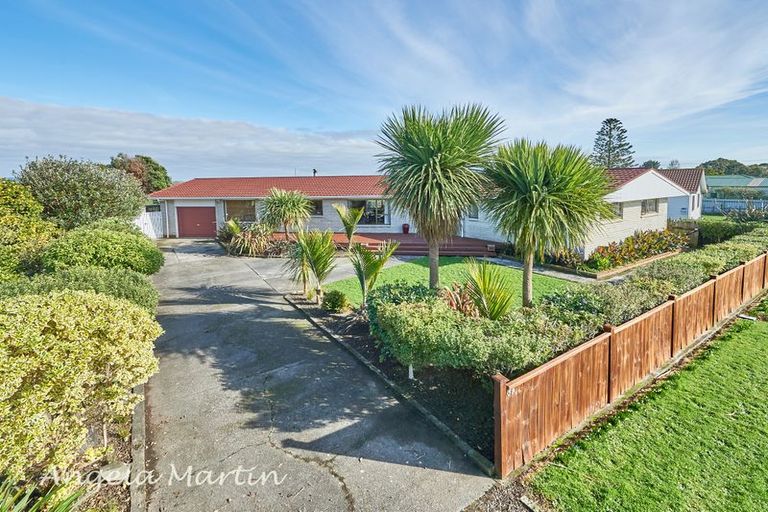 Photo of property in 39 Tokomaru Road, Tokomaru, Palmerston North, 4474