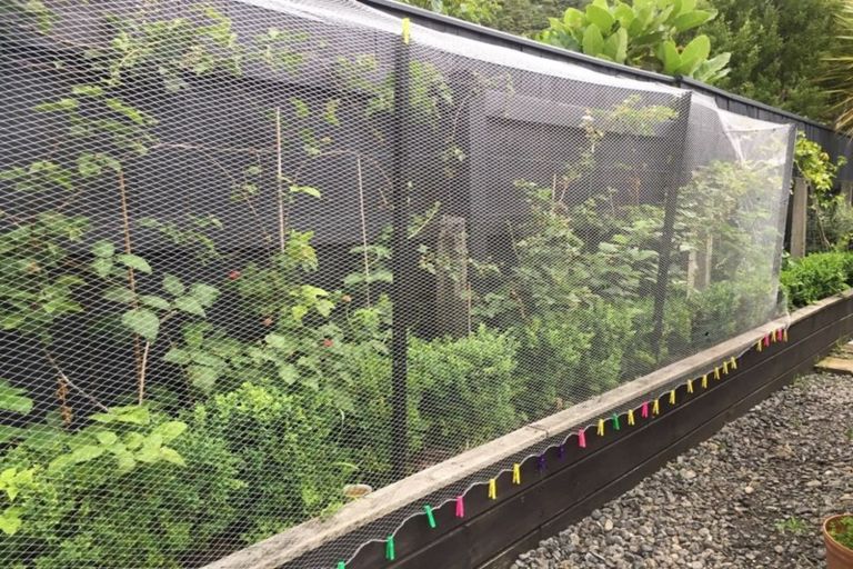 Photo of property in 6 Miro Street, Eastbourne, Lower Hutt, 5013