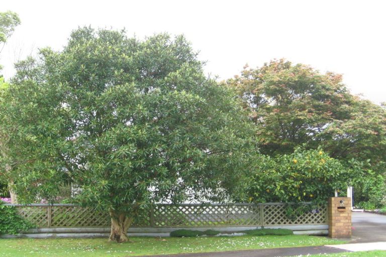 Photo of property in 28 Washington Square, Paeroa, 3600