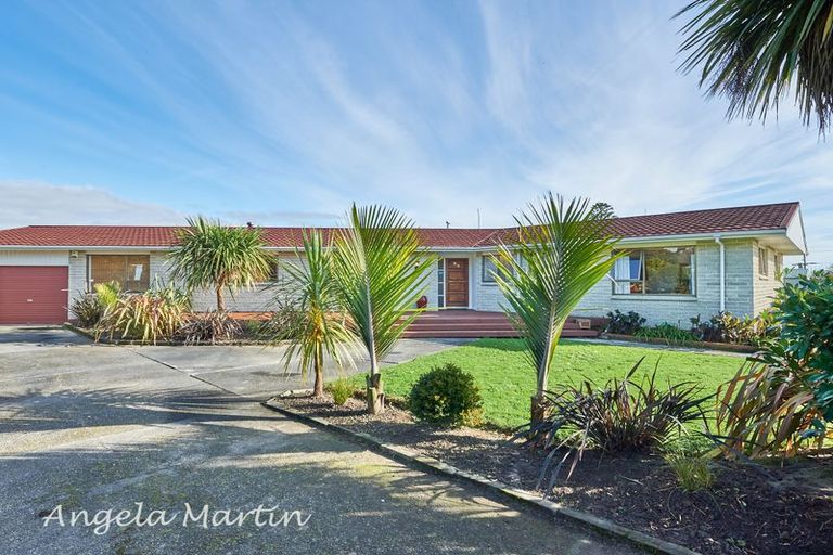 Photo of property in 39 Tokomaru Road, Tokomaru, Palmerston North, 4474