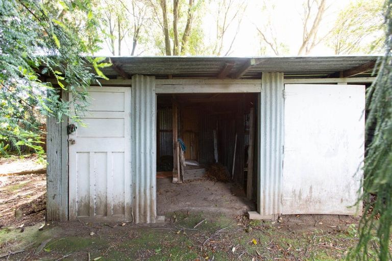 Photo of property in 29 Fox Street, Woodville, 4920