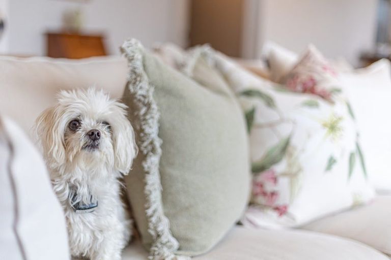 Photo of property in 89a Beach Haven Road, Beach Haven, Auckland, 0626