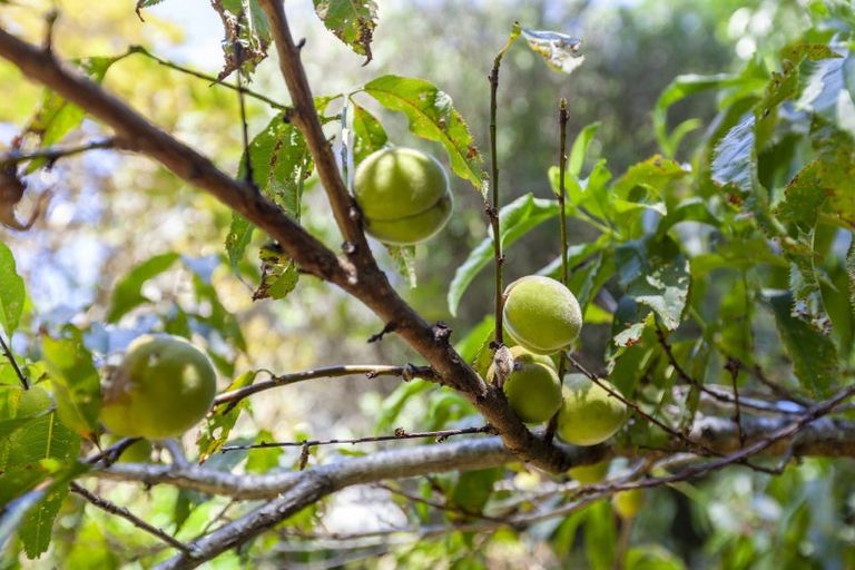 Photo of property in 44 Dale Road, Raumati South, Paraparaumu, 5032