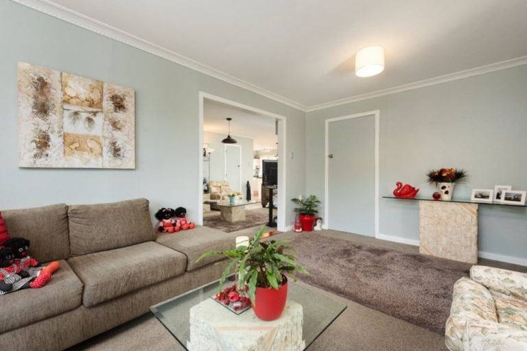 Photo of property in 189 Sixteenth Avenue, Tauranga South, Tauranga, 3112