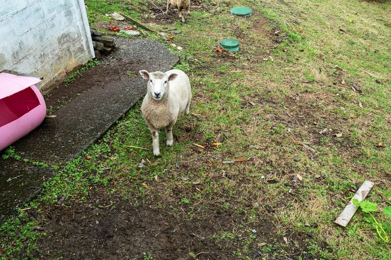 Photo of property in 19 Tui Street, Piopio, 3912