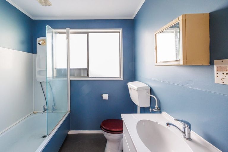 Photo of property in 101 Shamrock Street, Takaro, Palmerston North, 4412